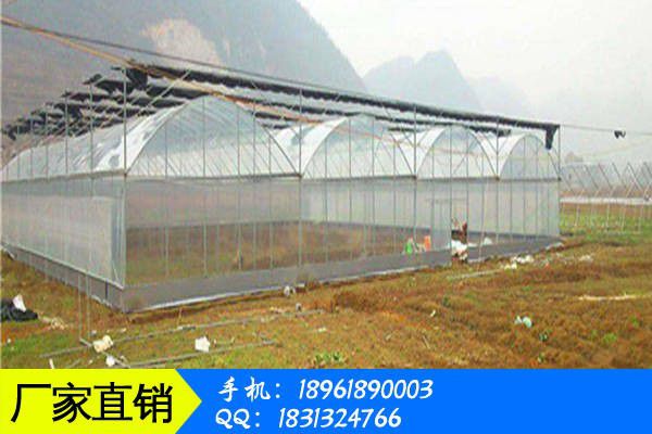 迪庆藏族香格里拉县联栋温室建造降低白点敏感的方详解