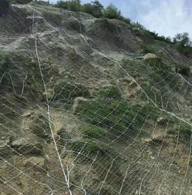 桂林象山区绞索网主动防护网