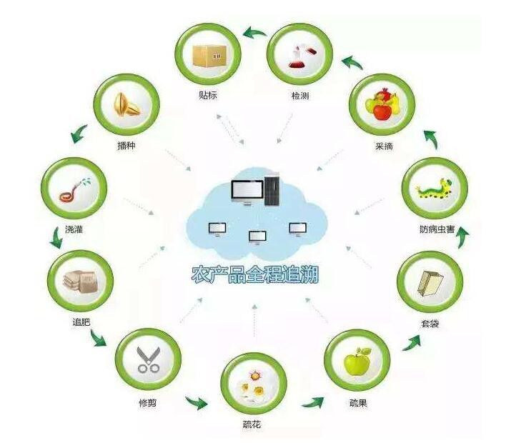 石家庄元氏县蔬菜配送软件系统