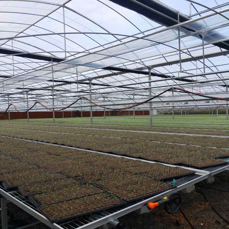 吐魯番地區(qū)鄯善縣春秋棚