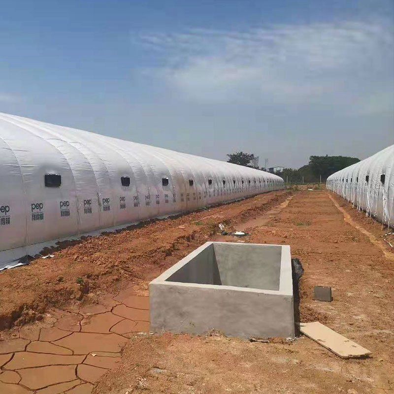 昌吉州阜康溫室大棚工程