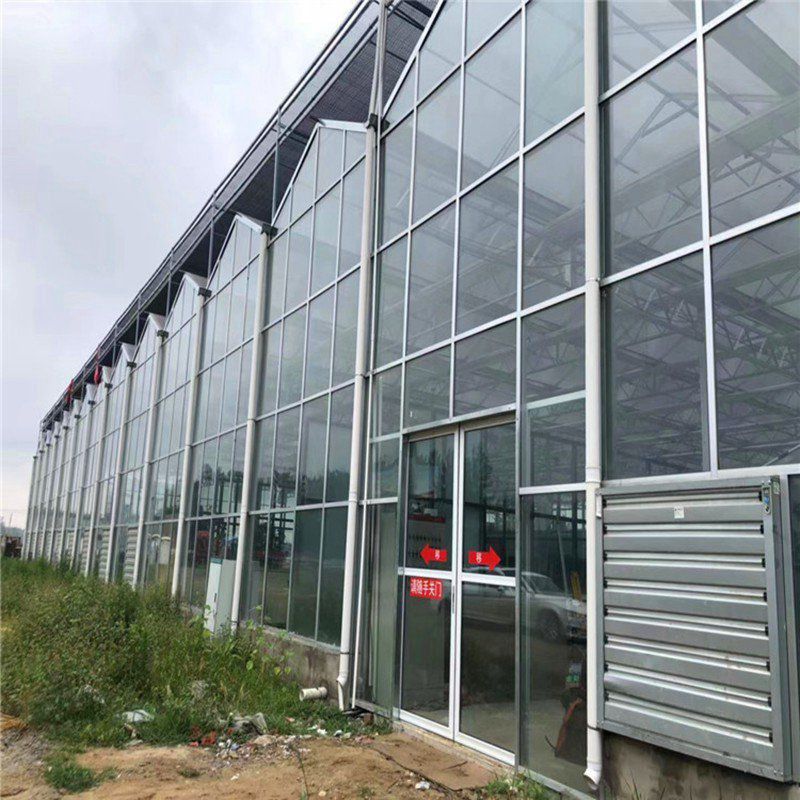 昌吉州瑪納斯縣單體大棚