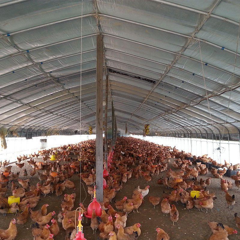 哈密地區(qū)伊吾縣熱鍍鋅大棚鋼管