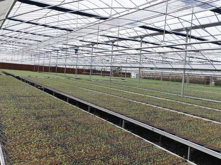 吐魯番地區(qū)托克遜縣大棚鍍鋅管