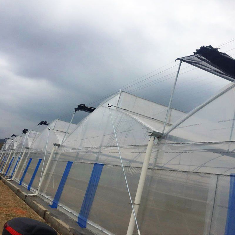 哈密地區(qū)鍍鋅管大棚