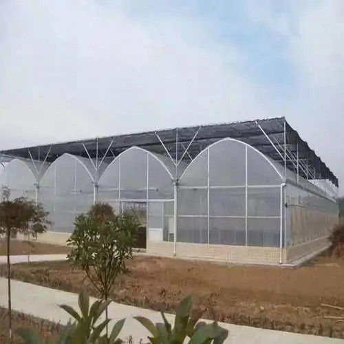 克拉瑪依烏爾禾區(qū)薄膜大棚