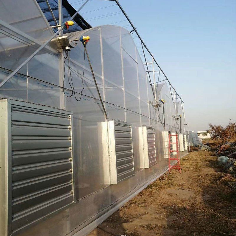 吐魯番地區(qū)吐魯番冷棚