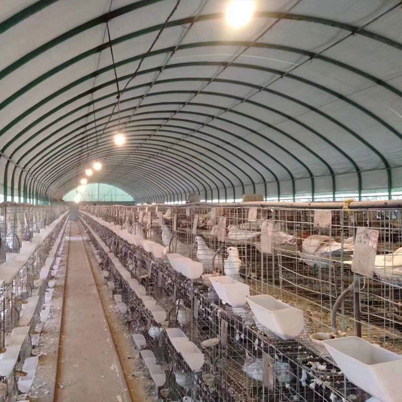 臨夏州積石山縣橢圓管大棚