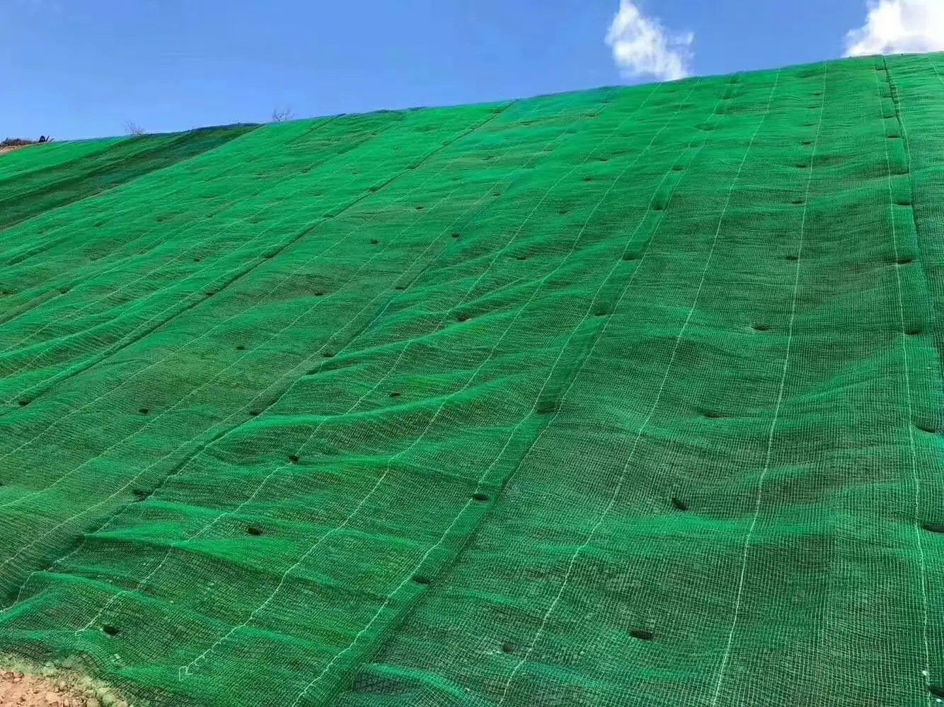 准格尔旗三维植草网怎么维护质量问题