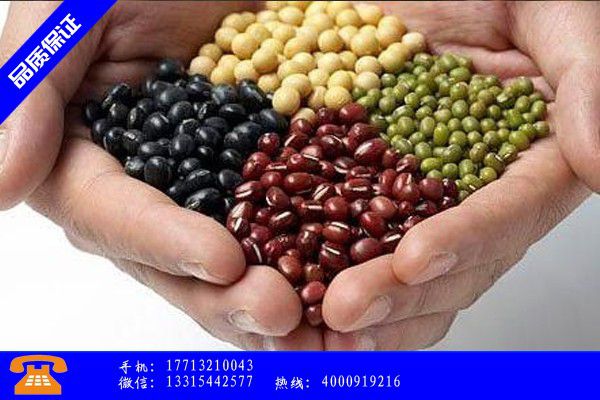 汕头南澳县轻度高血压的人都长寿新优惠行情报价