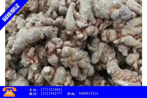 楚雄彝族南华县量高血压仪器哪里买好品牌推荐
