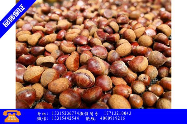 金昌什么降压茶好专卖