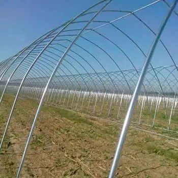 河北省草莓大棚管价格频繁探高持续向好可能性不大