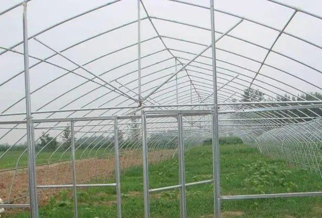 湘西土家族苗族自治州草莓大棚管当前厂销售模式正在向日本模式靠拢