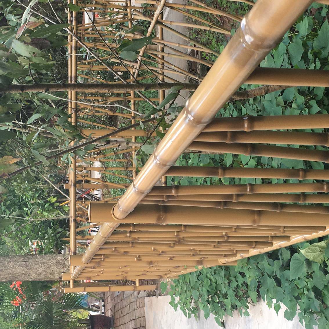 公园绿化