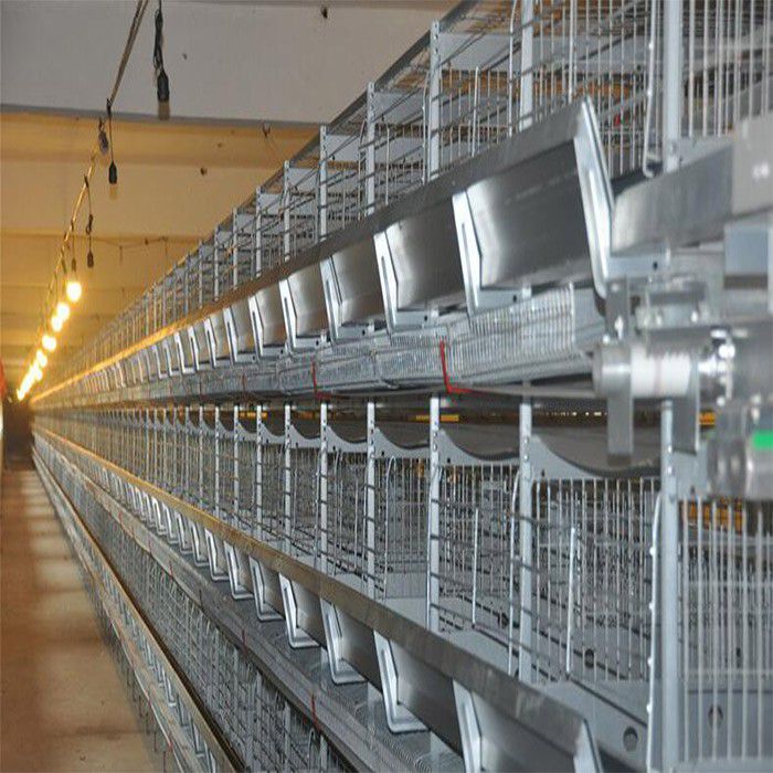 宁海县肉食鸡设备在工序中的检修流程