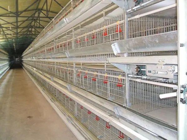 忻州肉食鸡笼子生产厂家需注意其维修保养