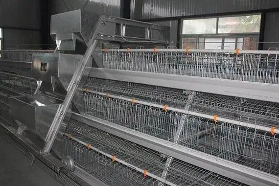 忻州宁武县养鸡自动化环保限产 价格或进一步上涨