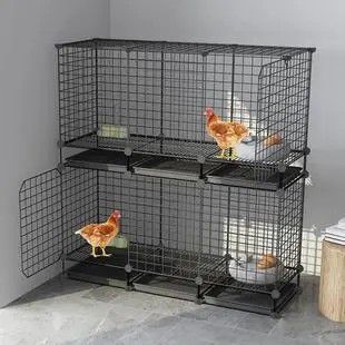 郑州养鸡自动化