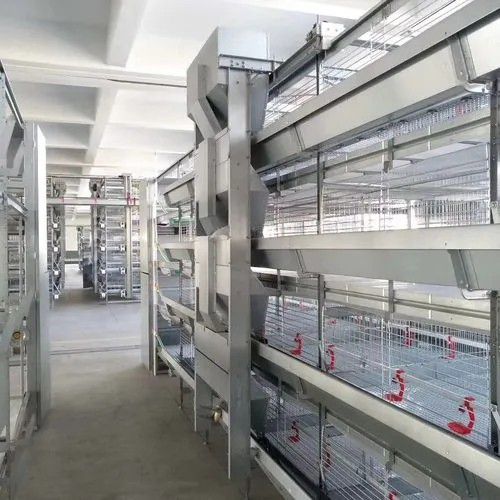 惠州惠城区养鸡自动化设备