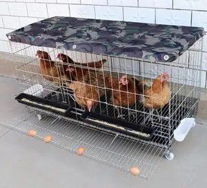文山壮族苗族自治州养鸡自动化设备