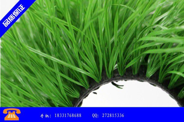 兰溪市出售橡胶颗粒供货商欢迎您