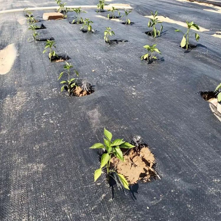 建瓯膨润土防水毯