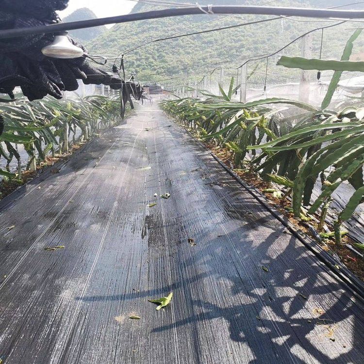 宁德水泥毯