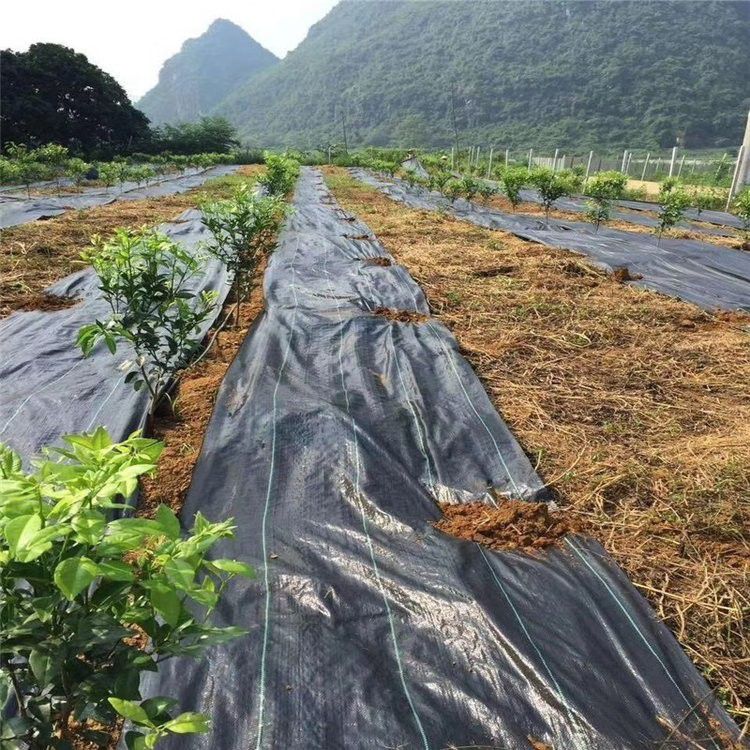 天长水泥毯