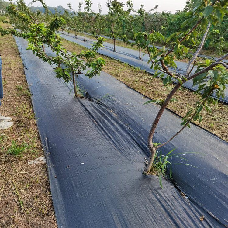 建阳抗老化编织袋