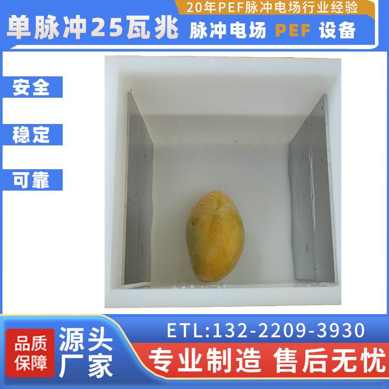 高碑店脉冲电场PEF