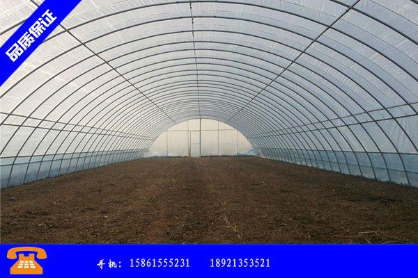 衡阳南岳区适合冬天种植的蔬菜能源费用