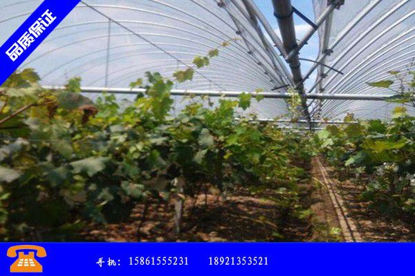 驻马店汝南县露天蔬菜种植技术在线咨询