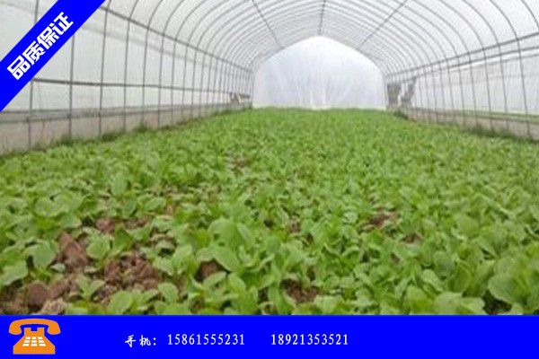 武威民勤县大棚蔬菜种植技术书行业体系