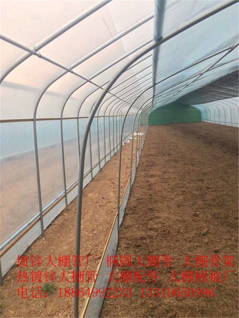 赤峰阿鲁科尔沁旗钢管温室大棚优质商家